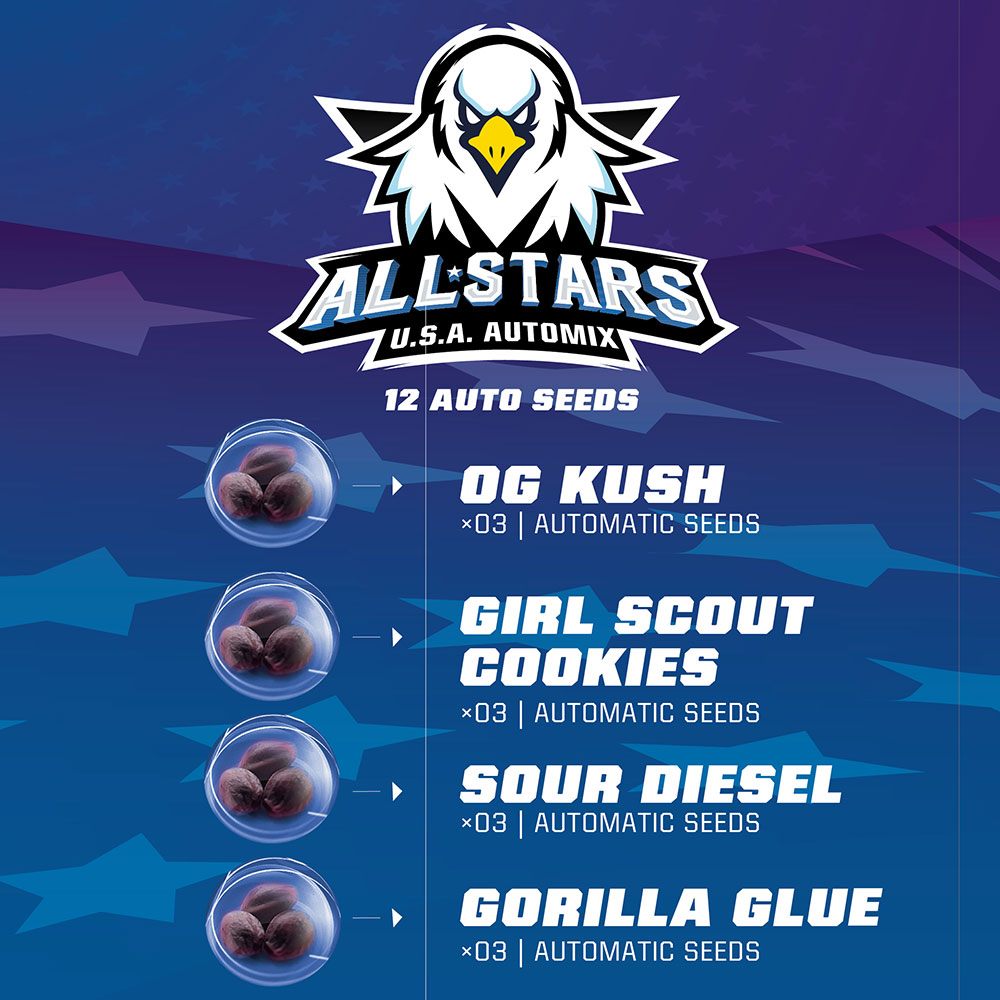 All Stars USA Automix X12 BSF Seeds