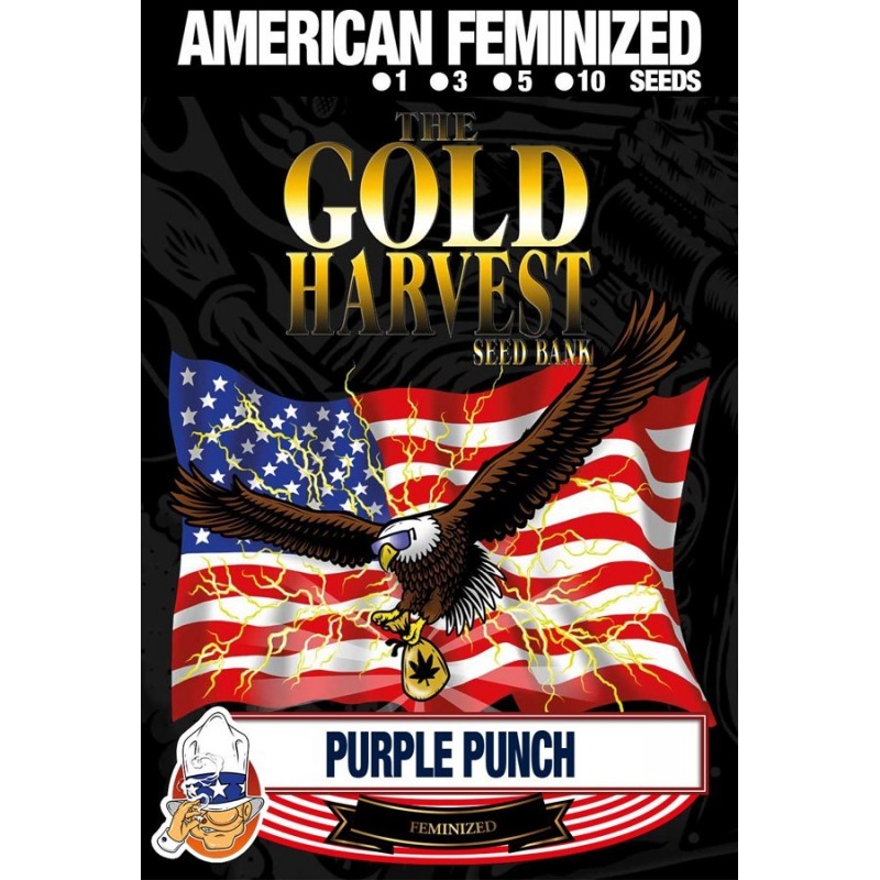 Purple Punch X1 – The Gold Harvest