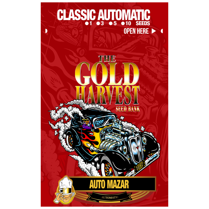 Auto Mazar x1 – The Gold Harvest