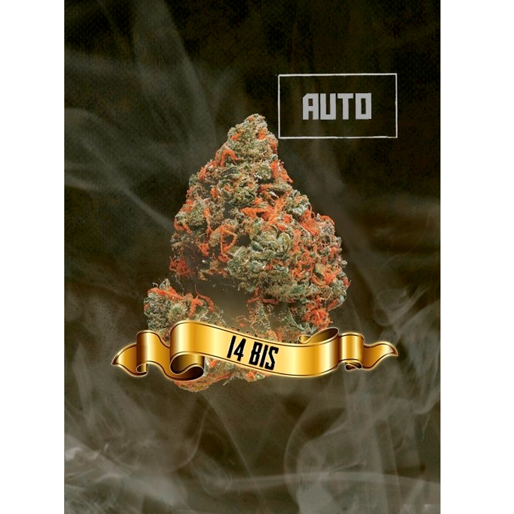 14 Bis Auto x1 MACONHA SEEDS