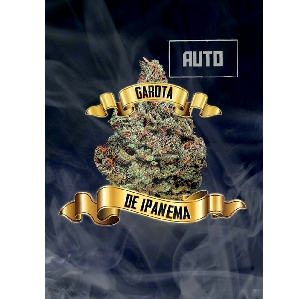Garota De Ipanema Auto x1 MACONHA SEEDS