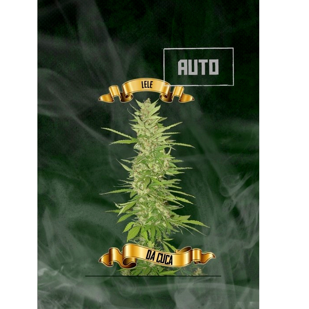 Lele Da Cuca Auto x1 MACONHA SEEDS