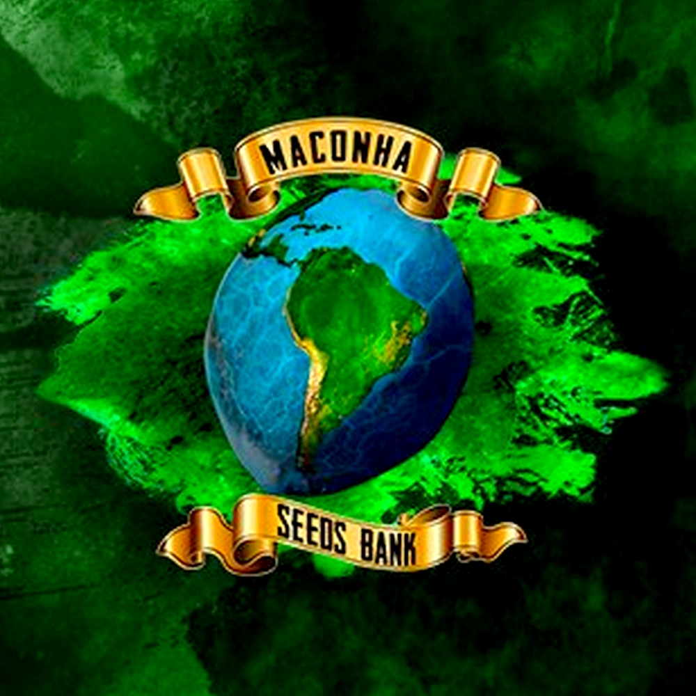 Maluco Beleza Auto x1 MACONHA SEEDS