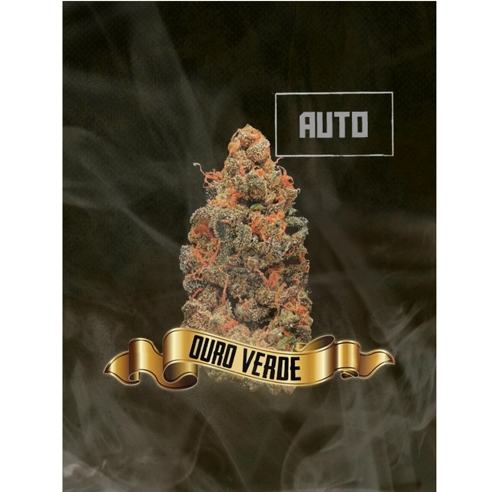 Ouro Verde Auto x1 MACONHA SEEDS