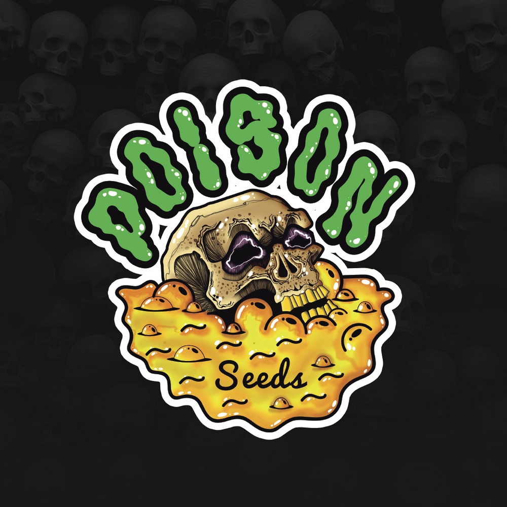 Og – Kush Auto POISON SEEDS.
