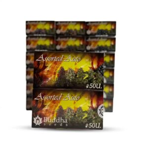 Buddha Seeds Buddha Assorted Auto Pack 20x50