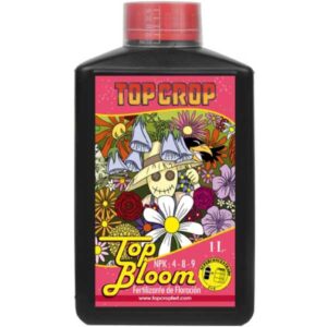 Top Crop Top Bloom 1l
