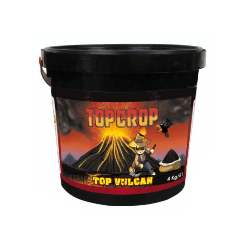 1332.png Top Crop Top Vulcan 4KG