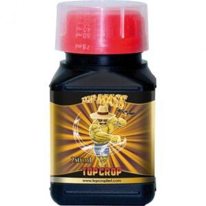 Top Crop Top Mass 250ML