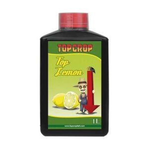 Top Crop Top Lemon 1L