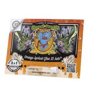 Pack Sweet Seeds Orange Apricot Glue XL Auto 3+1