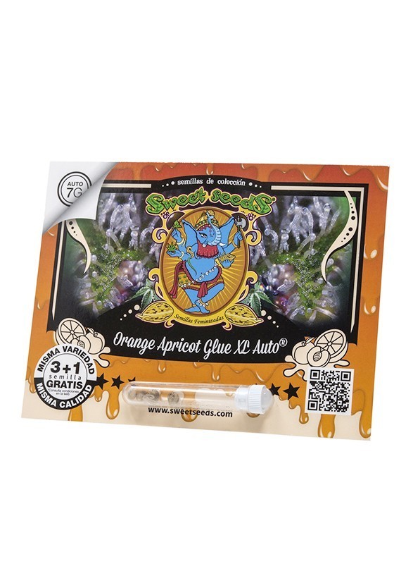 18457.jpg Pack Sweet Seeds Orange Apricot Glue XL Auto 3+1