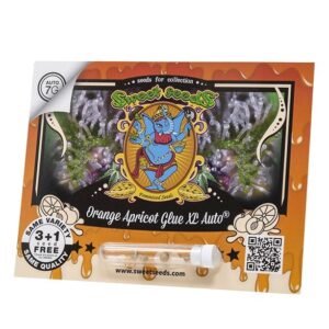 Pack Sweet Seeds Orange Apricot Glue XL Auto X100
