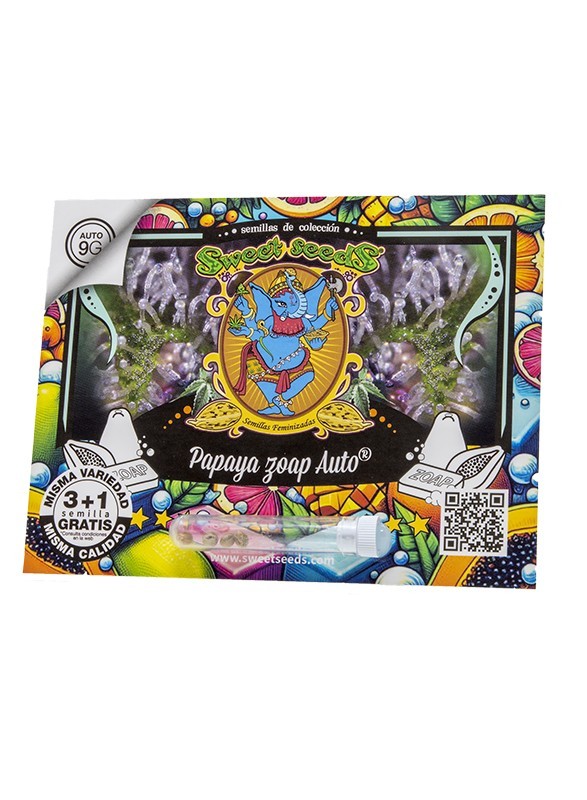 20873.jpg Pack Sweet Seeds Papaya Zoap Auto X3+1