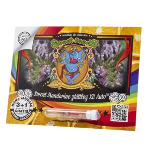 Pack Sweet Seeds Sweet Mandarine Zkittlez XL Auto X25