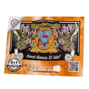 Pack Sweet Seeds Sweet Mimosa XL Auto X25