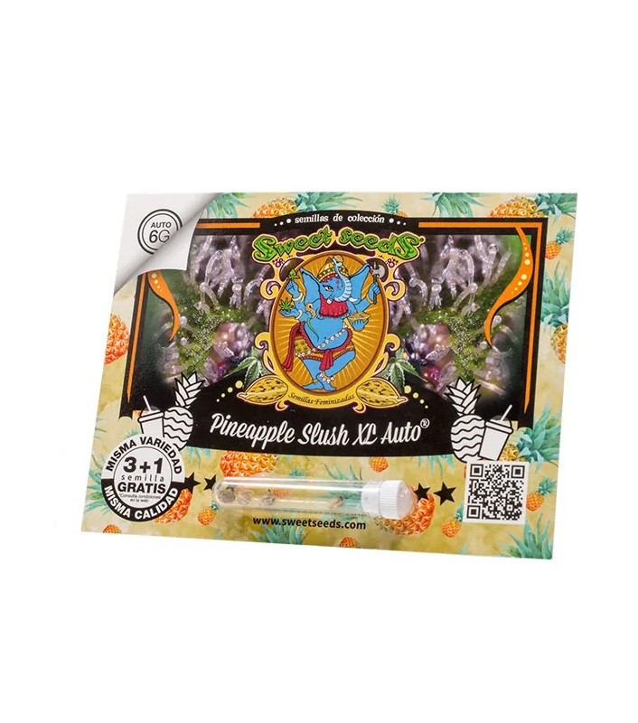 23282.jpg Pack Sweet Seeds Pineapple Slush XL Auto X3+1