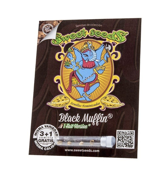 23288.jpg Pack Sweet Seeds Black Muffin F1 Fast Version X3+1