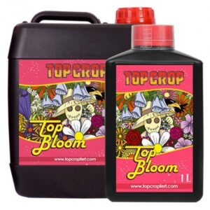 Top Crop Top Bloom 10L