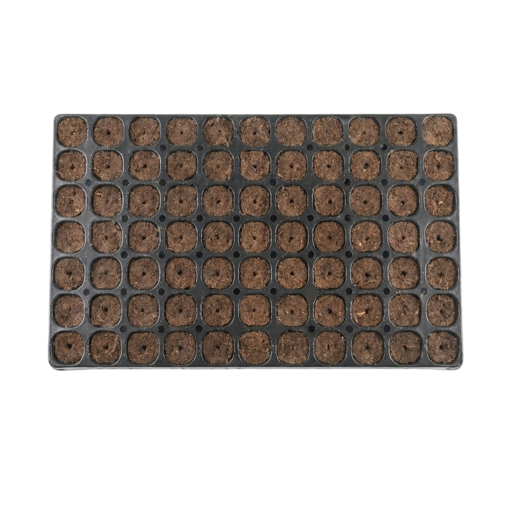 25885.png Canna Bandeja 77U Root Plug Coco/turba