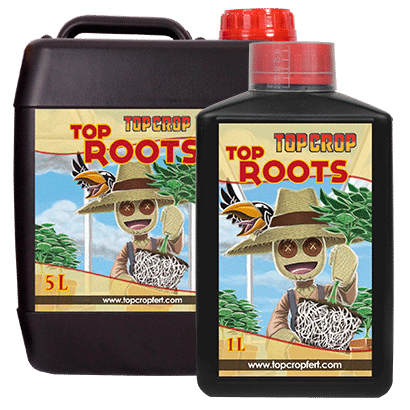 3087.png Top Crop Top Roots 5L