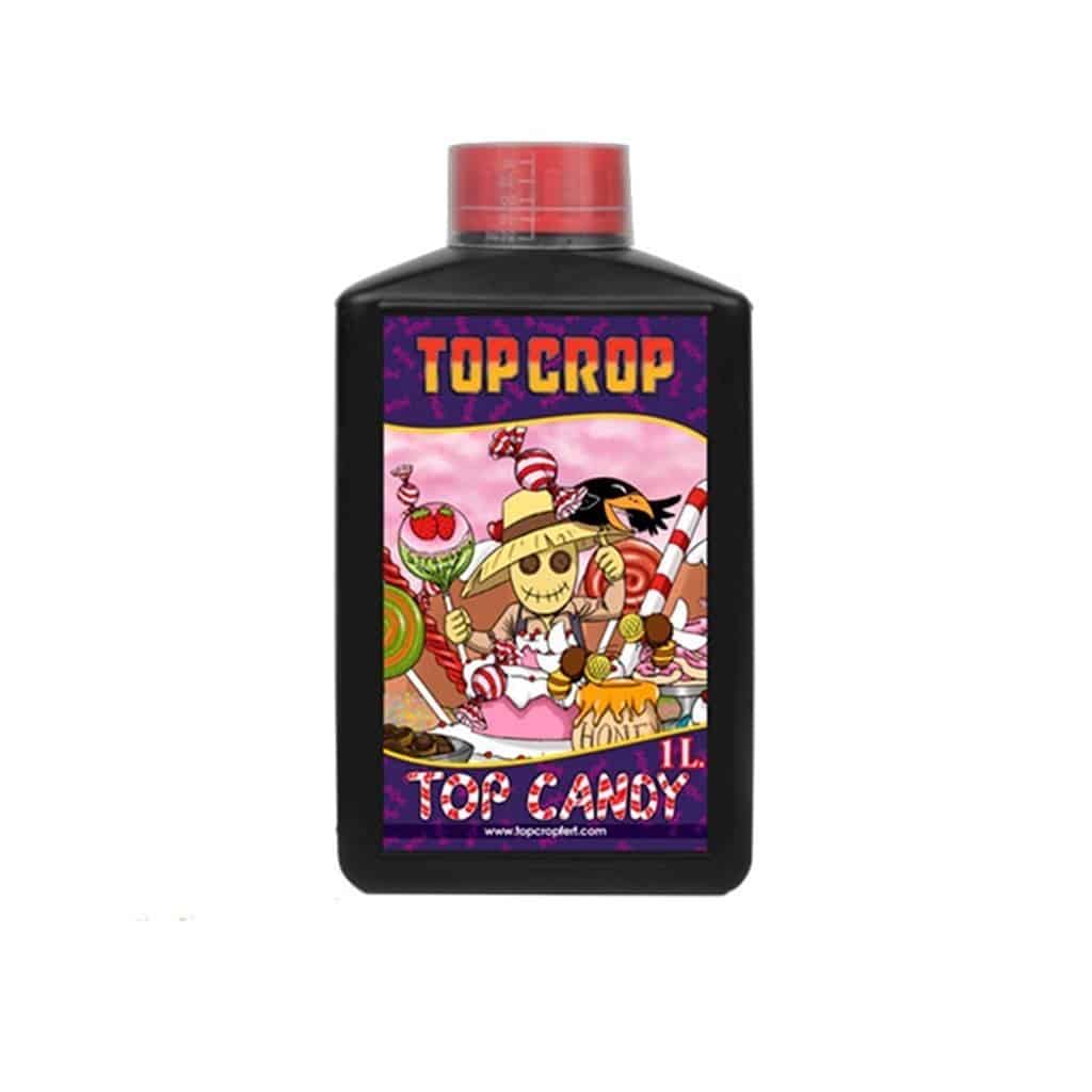 581.jpg Top Crop Top Candy 1L