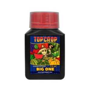 Top Crop Big One 250ML