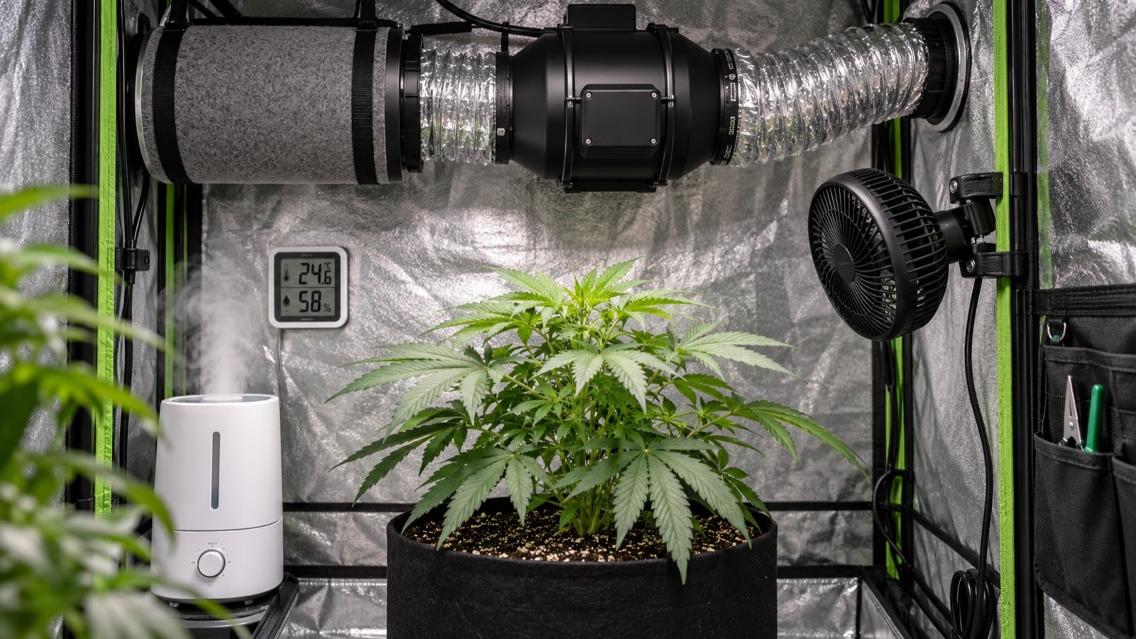 Ventilacion y control de clima en carpa indoor